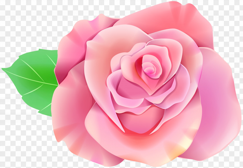 Rose Transparent Yopriceville Clip Art Desktop Wallpaper Image PNG