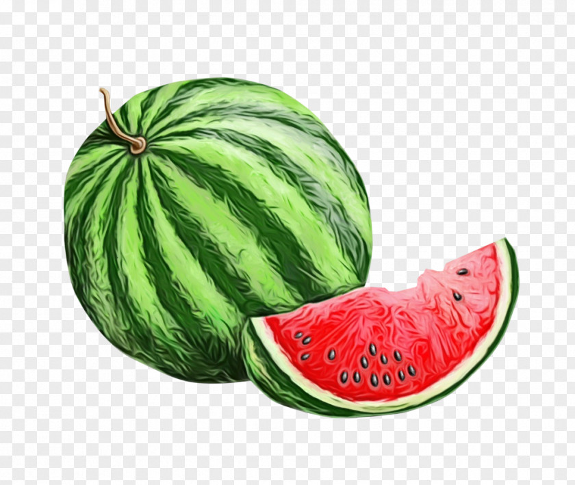 Seedless Fruit Superfood Watermelon Cartoon PNG