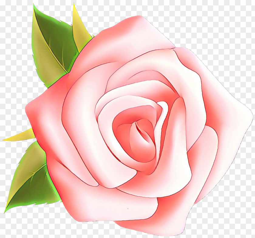 Clip Art Openclipart Rose Vector Graphics PNG
