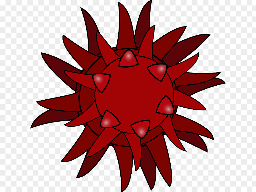 Computer Virus Microorganism Clip Art PNG