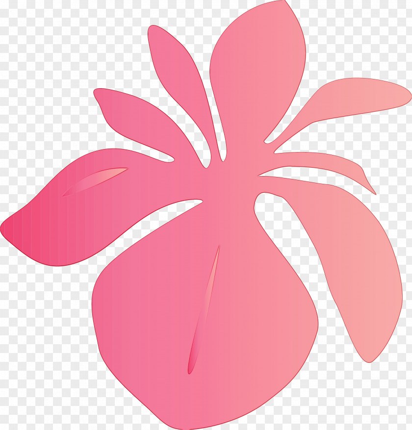 Pink Petal Leaf Plant Flower PNG