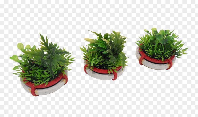 Planters Flowerpot Houseplant Herb PNG