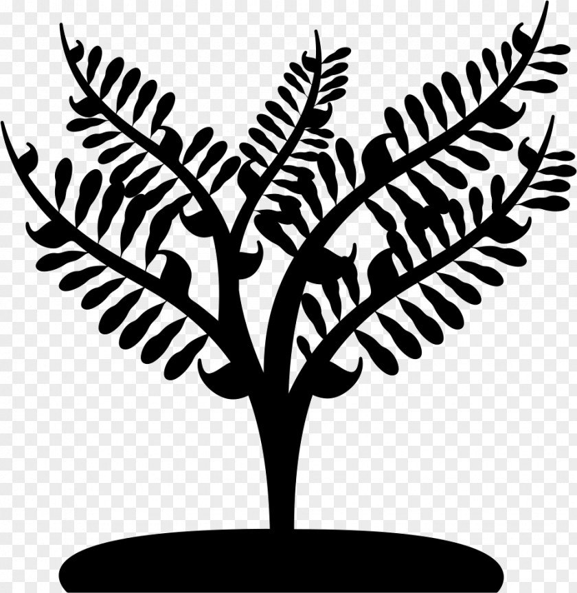 Plants Clip Art PNG