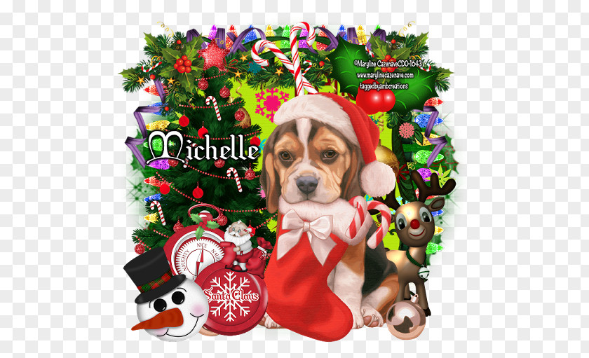 Puppy Beagle Dog Breed Christmas Ornament PNG