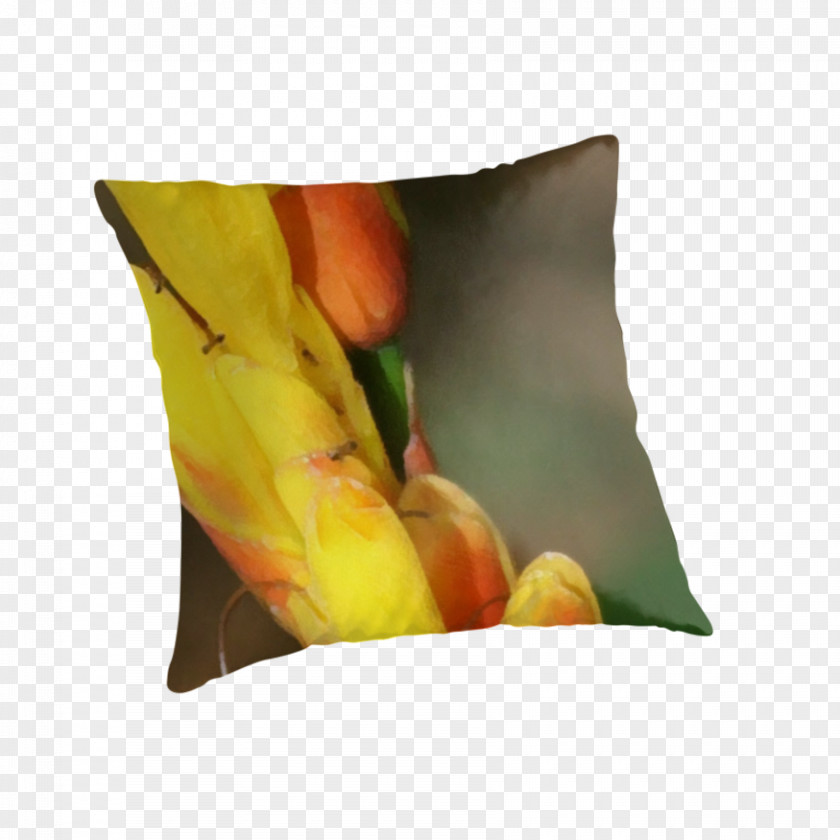 Romantic Aesthetic Throw Pillows Cushion Flower PNG