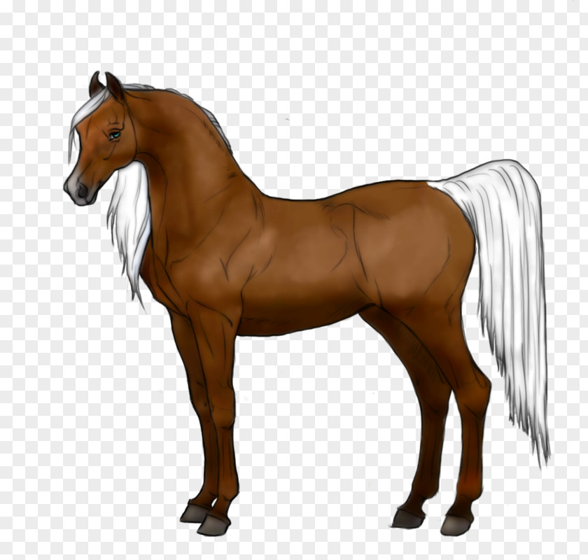 Mustang Mane Friesian Horse Arabian Stallion PNG