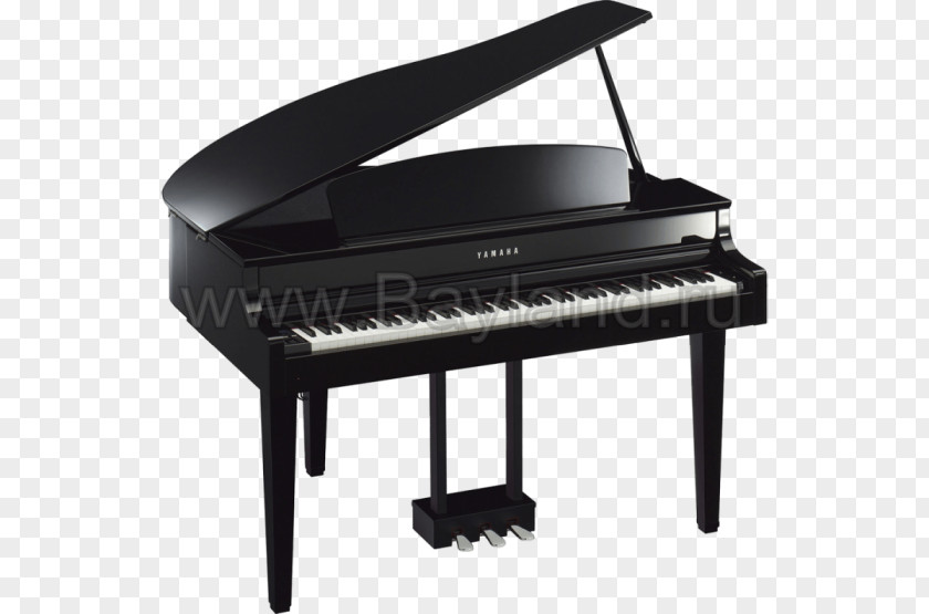 Piano Digital Clavinova Grand Disklavier PNG