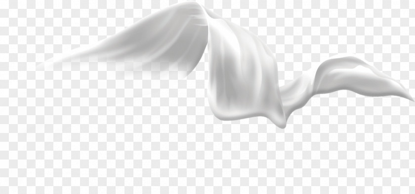 Ribbon White Hand Black PNG