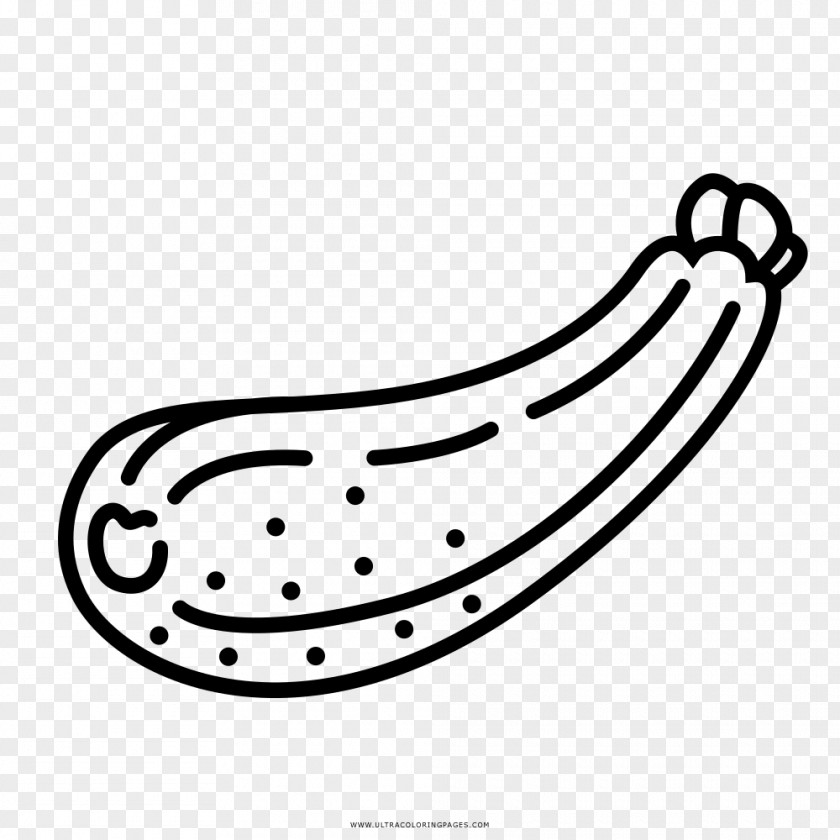 Vegetable Zucchini Drawing Coloring Book Summer Squash PNG