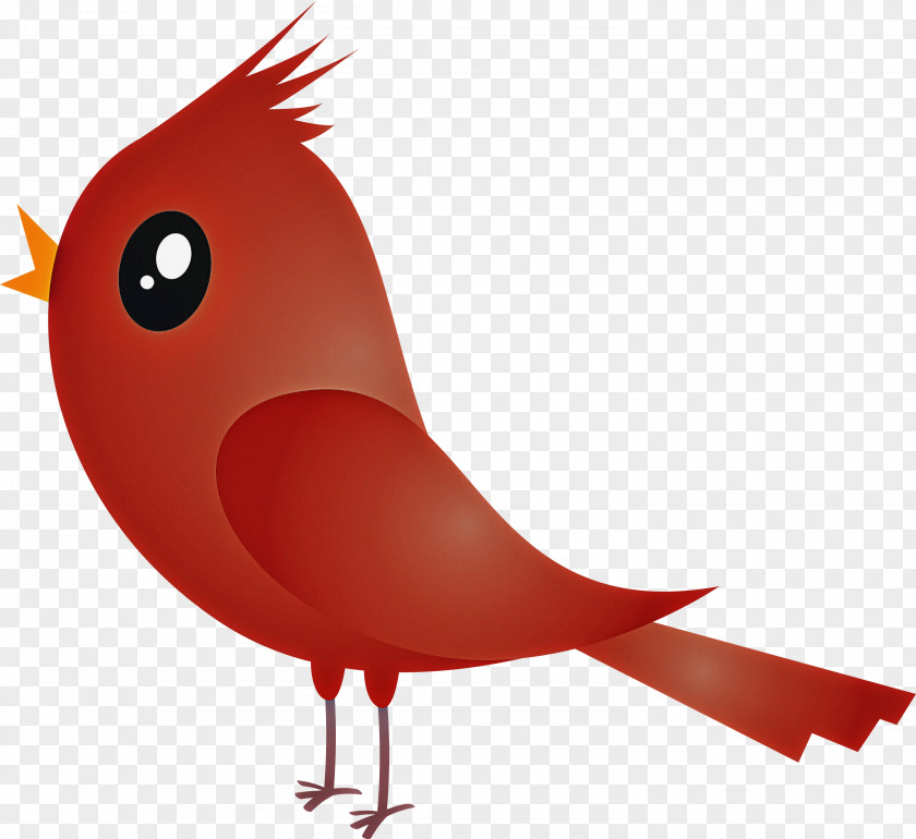 Bird Red Beak Cartoon Cardinal PNG
