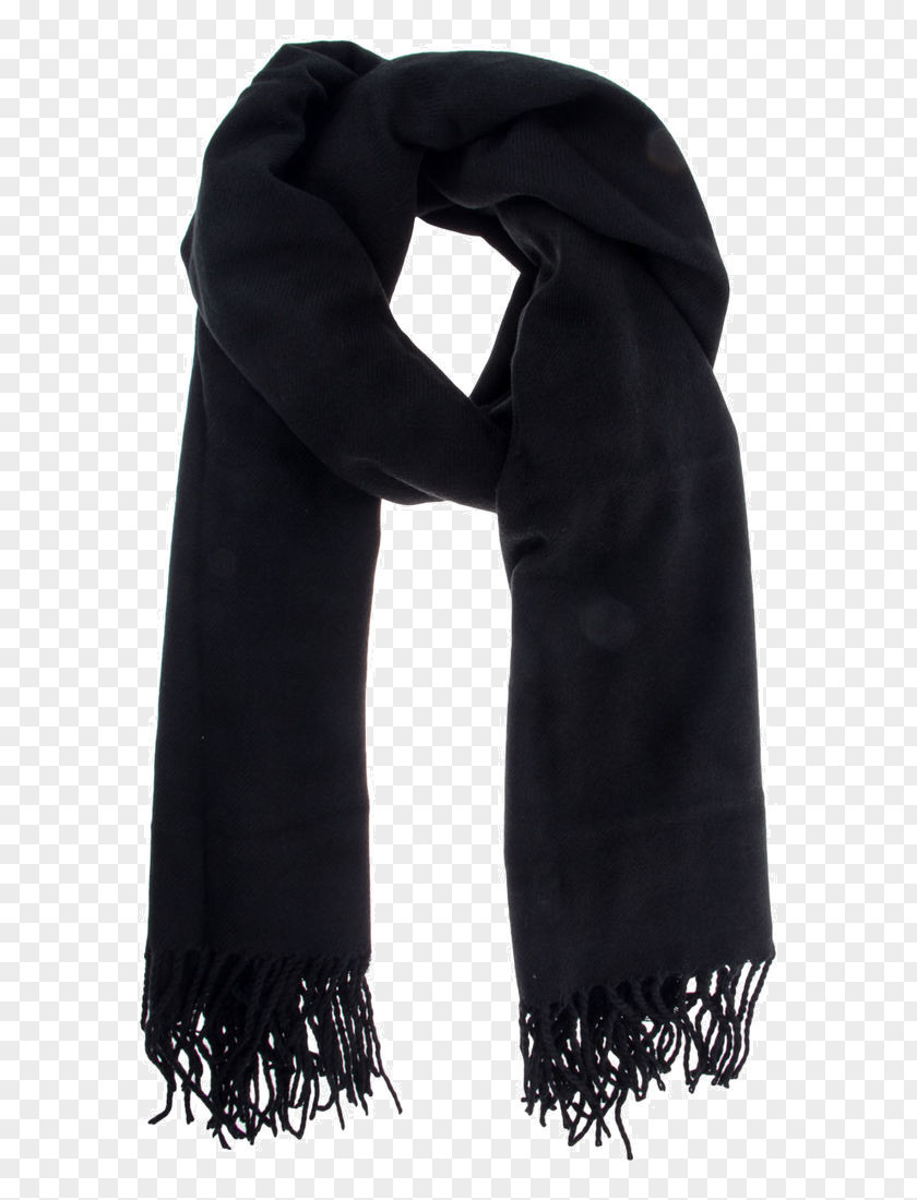 Bufanda Clothing Imatge Scarf Footwear Fringe PNG