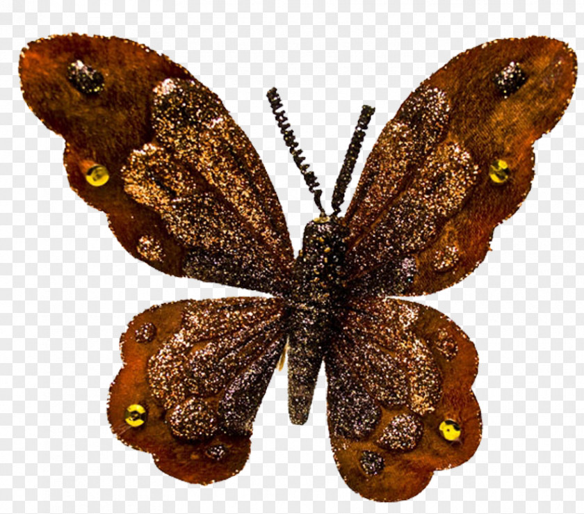 Butterfly Moth Polilla Clip Art PNG