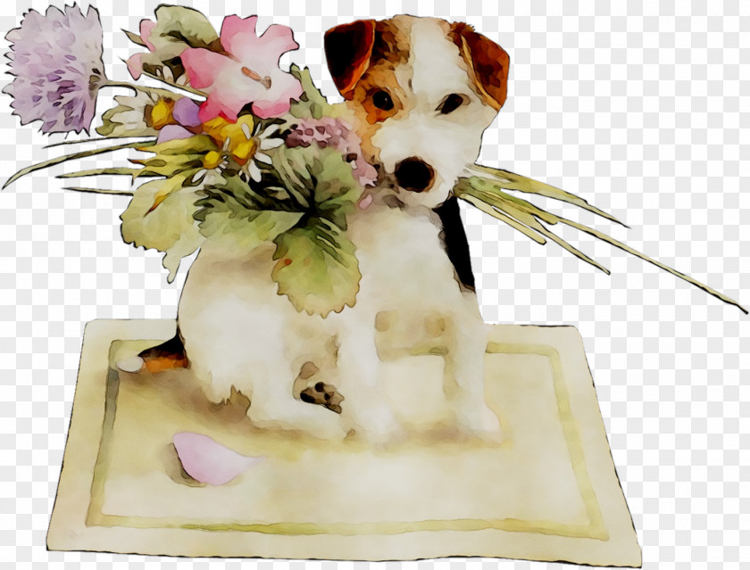 Dog Breed Puppy Companion PNG