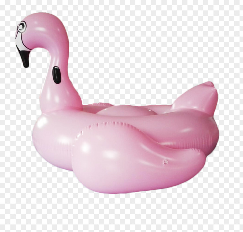 Flamingos Inflatable Swim Ring Greater Flamingo Water Bird Air Mattresses PNG