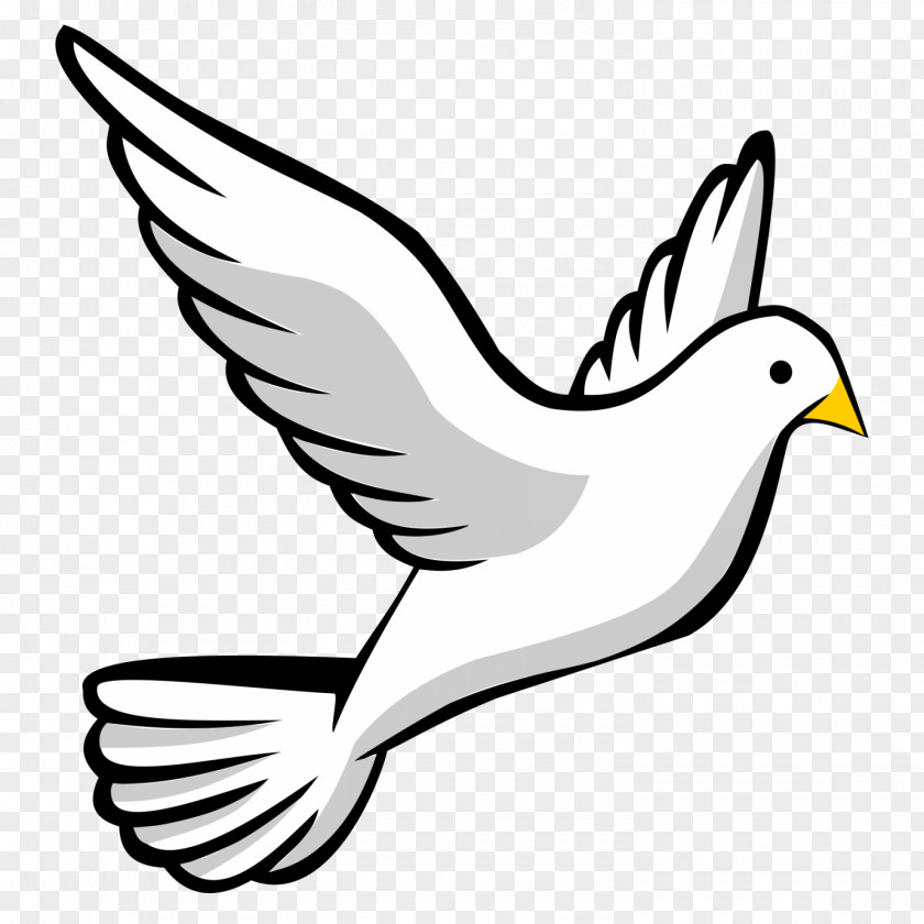 Flying Bird Columbidae Doves As Symbols Clip Art PNG