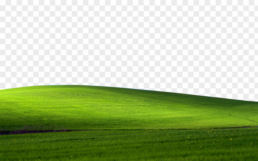 Grass Computer Software Desktop Wallpaper Food Watch Dogs 2 Can Stock Photo PNG