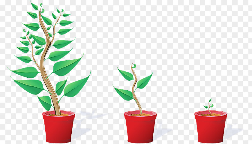 Plant Stem Houseplant Flowerpot Leaf Flower PNG