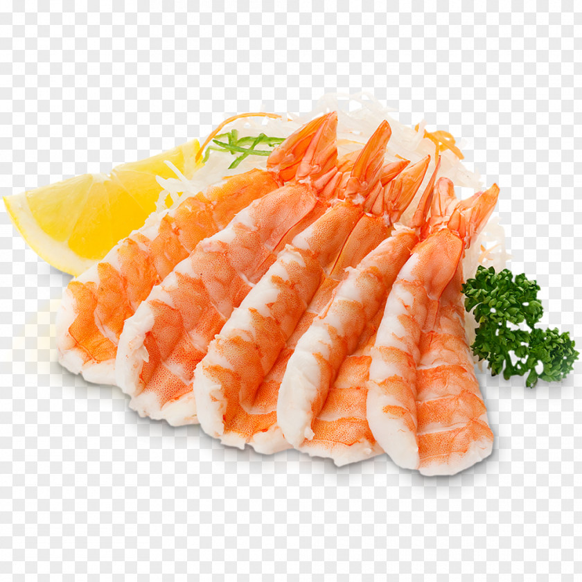 Shrimps Sashimi Sushi Makizushi Caridea Sake PNG
