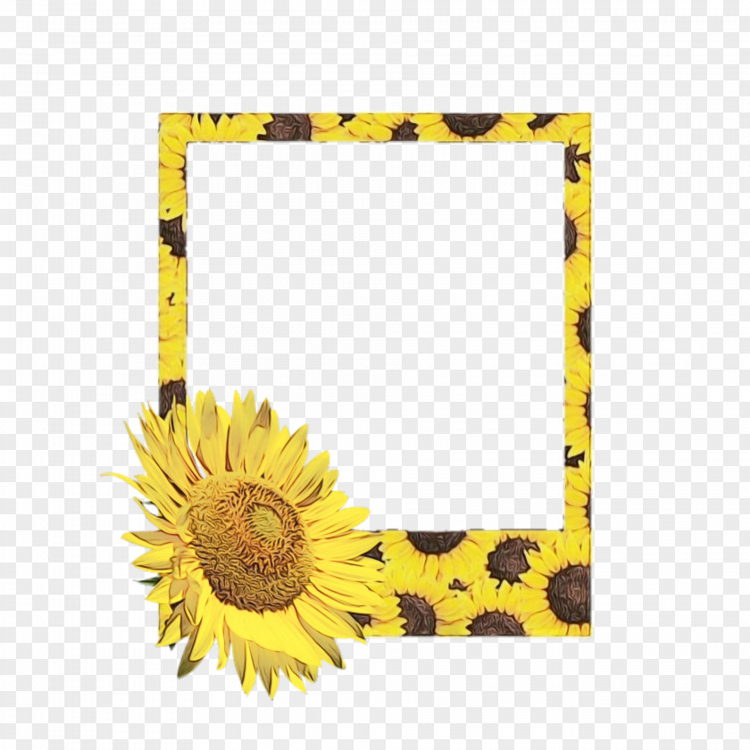 Wildflower Daisy Family Background Flower Frame PNG