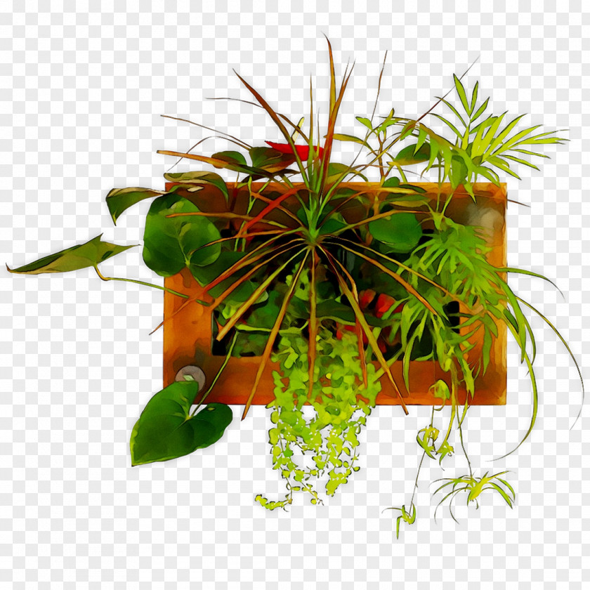 Flowerpot Leaf Houseplant Herb PNG