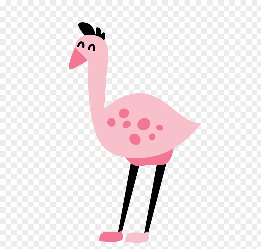 Ostrich Animal Common Euclidean Vector PNG