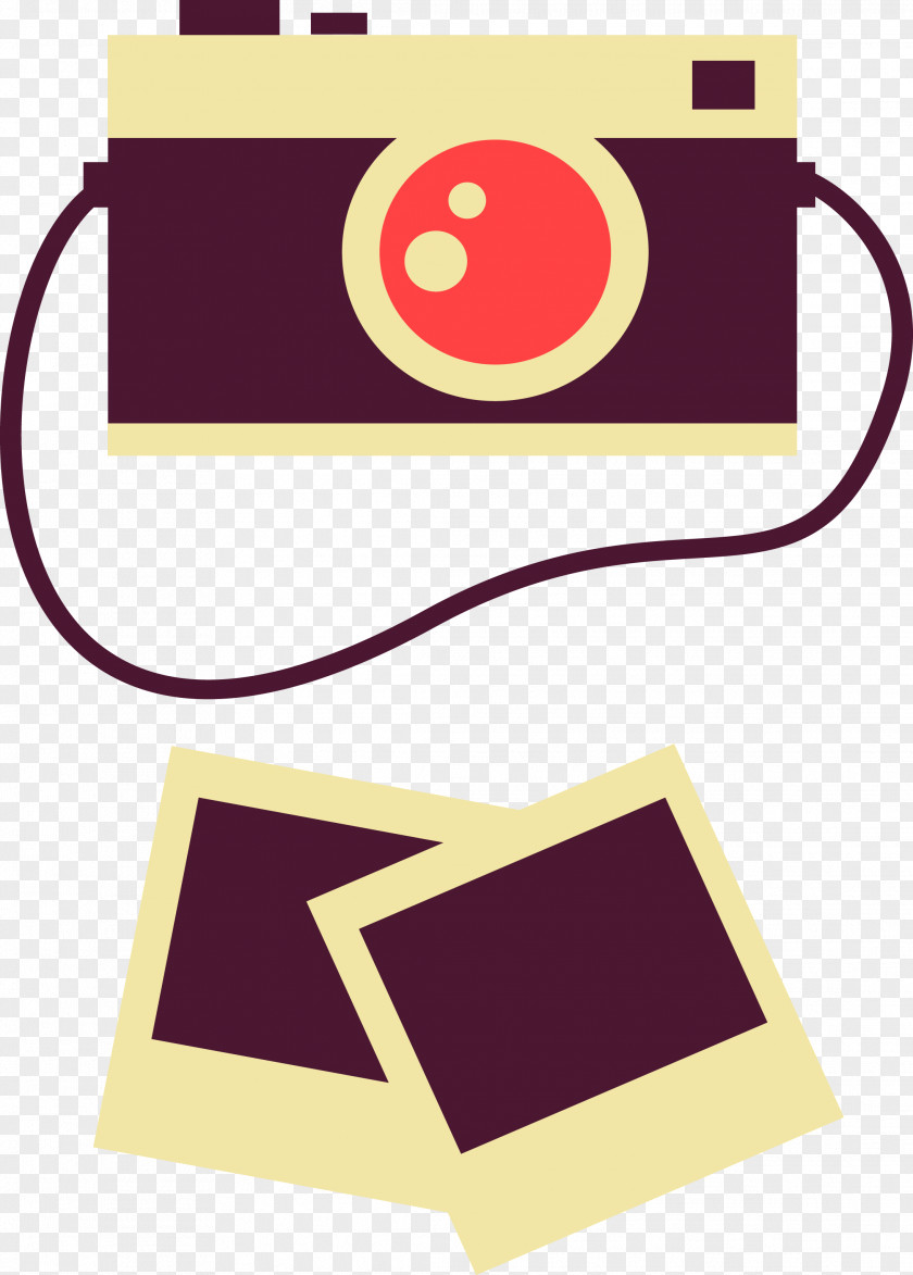 Polaroid Camera Icon. Logo Corporation Photography Icon PNG