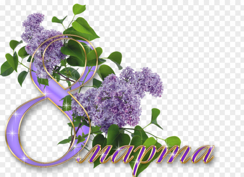 Purple Lilac Decorative Material International Womens Day Holiday Ansichtkaart Woman Animation PNG