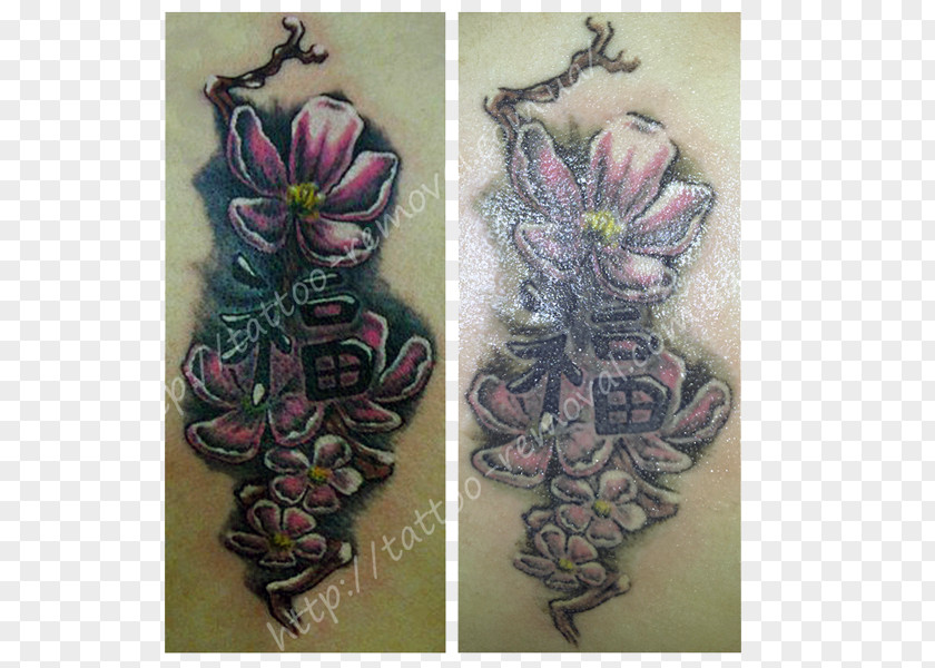 Tattoo Removal Cover-up Scar Udalenye Tatuyrovok Lazerom, Salon Stella PNG