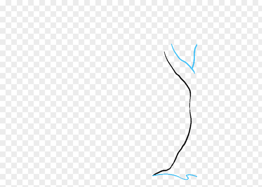 Cartoon Forest Drawing Diagram PNG