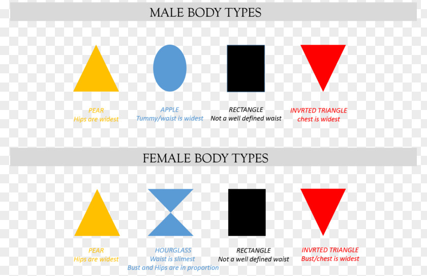 Female Body Shape Human Logo Physical Appearance Woman PNG