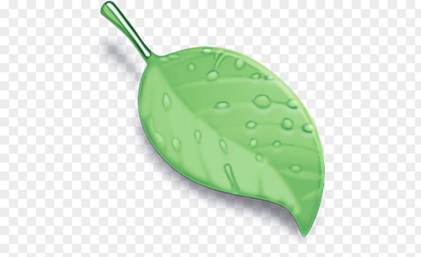 Plant Leaf Green PNG