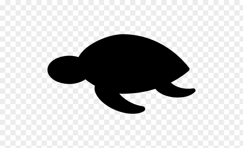 Turtle Sea Reptile Clip Art PNG