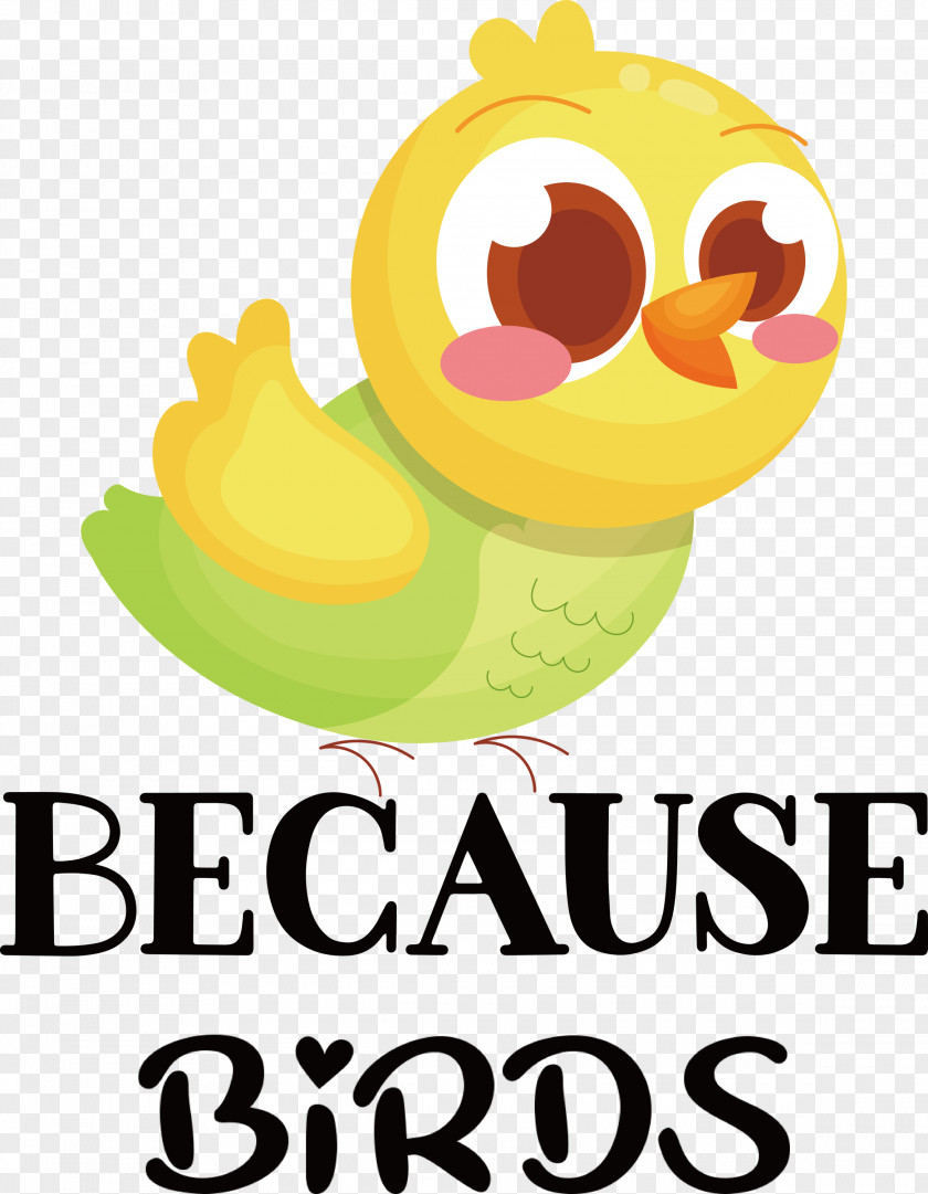 Because Birds Bird Animal PNG