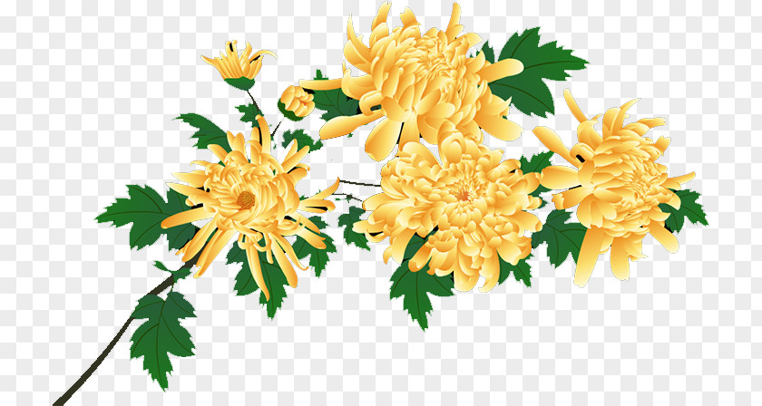 Chrysanthemum Floral Design Cut Flowers Flower Bouquet Dahlia PNG