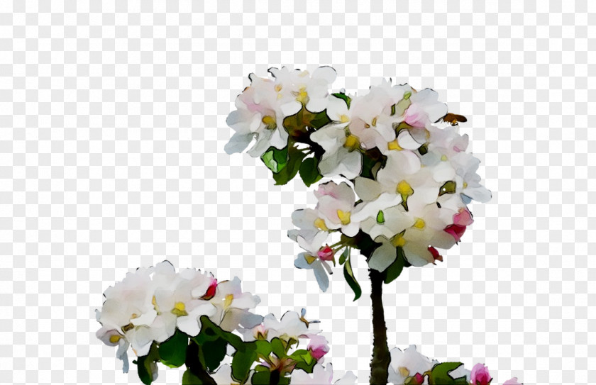 Floral Design Cut Flowers ST.AU.150 MIN.V.UNC.NR AD Flower Bouquet PNG