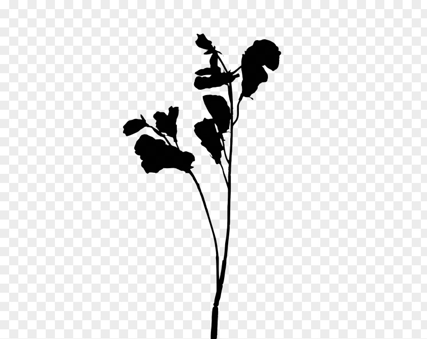 Flowering Plant Stem Leaf Silhouette PNG