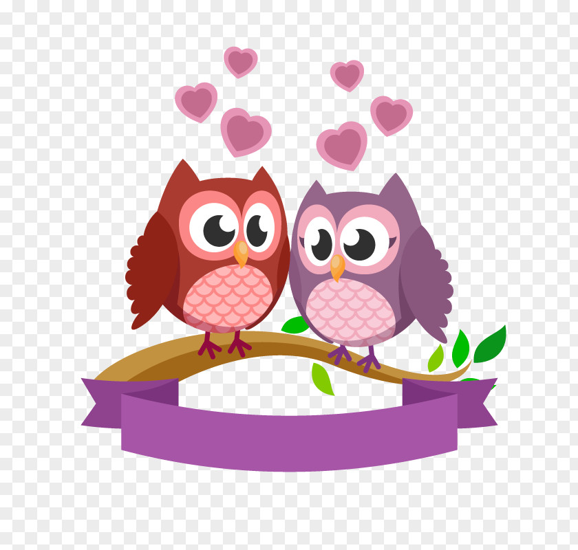 Owl Cartoon Bird Clip Art PNG