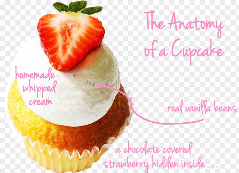Strawberry Cupcake Cheesecake Muffin Buttercream PNG