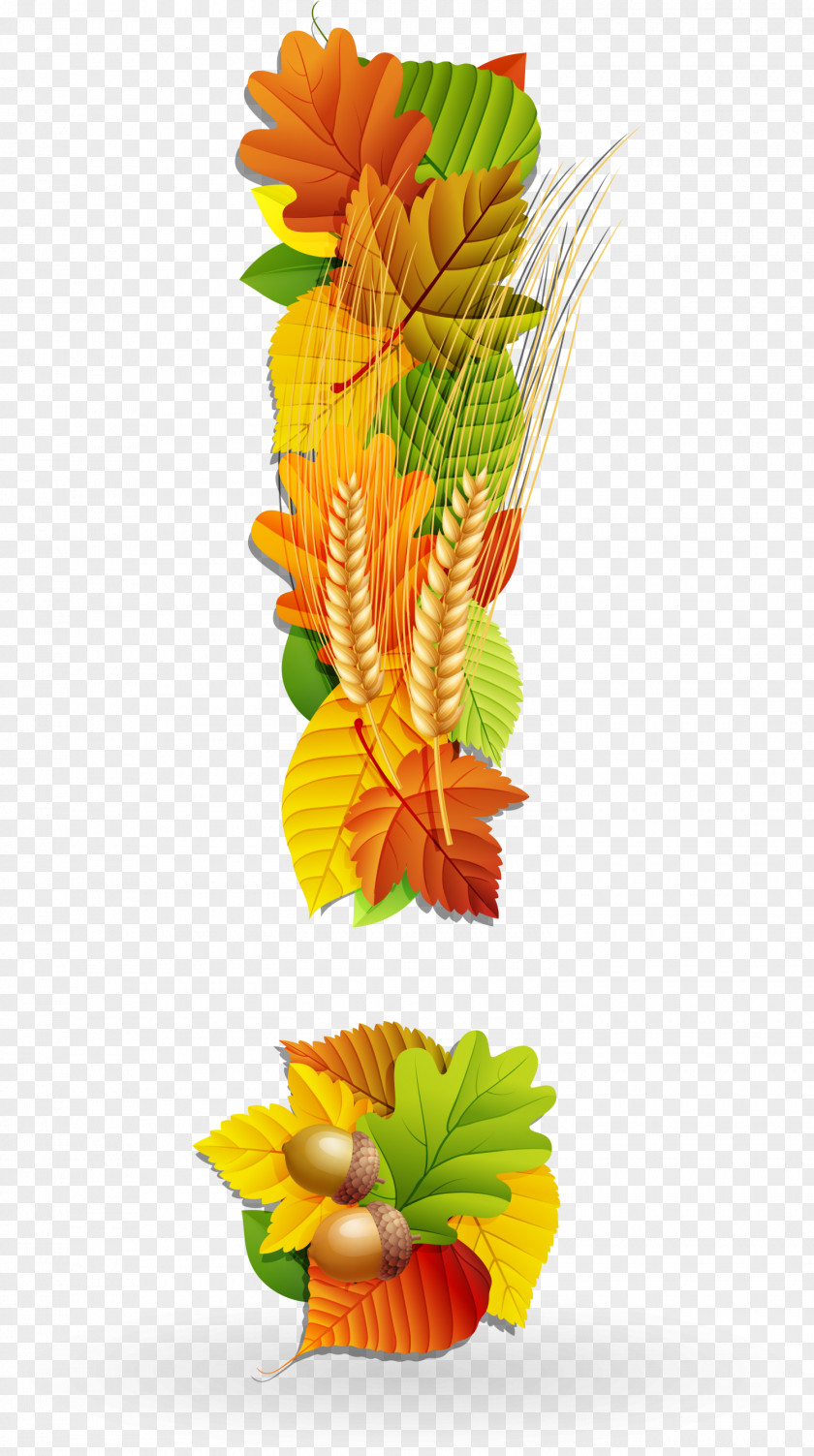 Autumn Leaves Exclamation Mark Floral Design Maple Leaf PNG