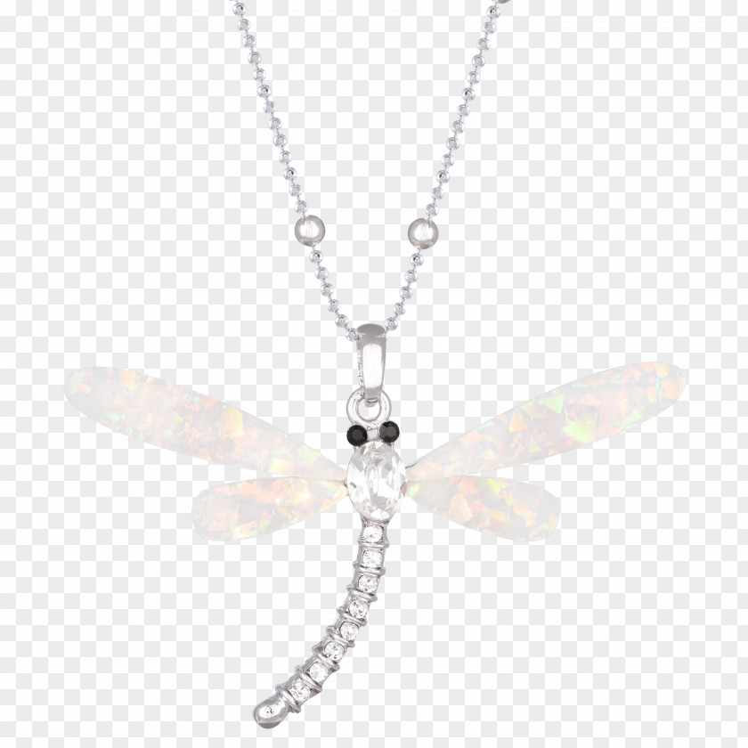 Dragonfly Jewelry Charms & Pendants Insect Necklace Body Jewellery PNG