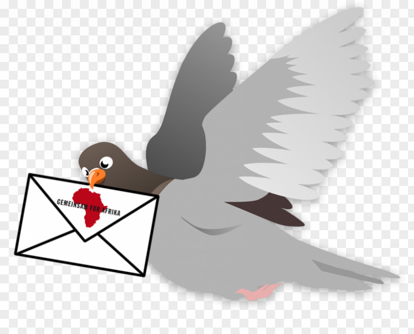 Multiplikator Homing Pigeon Flight Release Dove Clip Art PNG