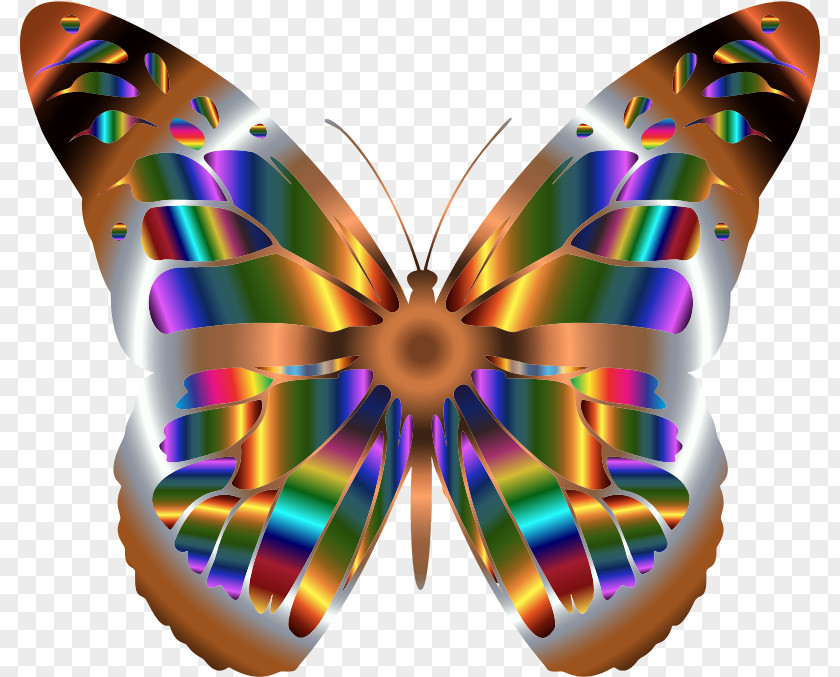 Butterflies Monarch Butterfly Iridescence Clip Art PNG