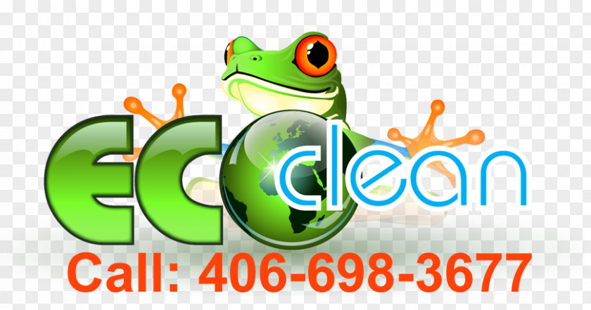 Diy Car Wash Logo Steam Cleaning Tree Frog Maid Service PNG