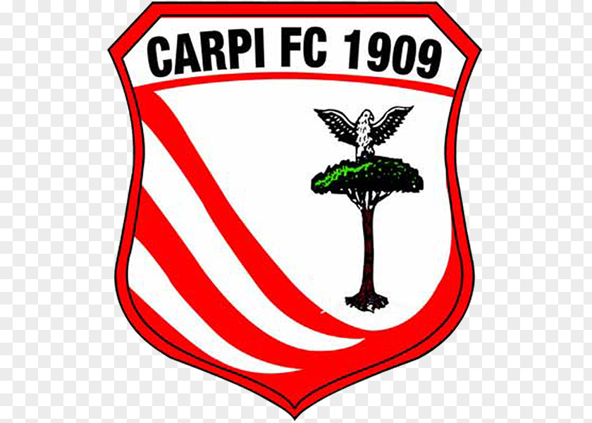 Football Carpi F.C. 1909 2017-18 Serie B 2013-14 A.C. Cesena PNG