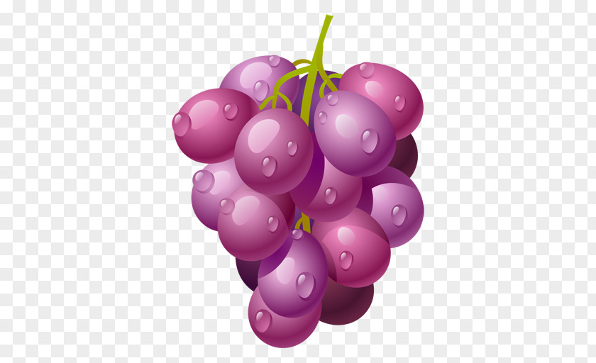 Fruit Common Grape Vine Sultana Wine Muscadine Must PNG