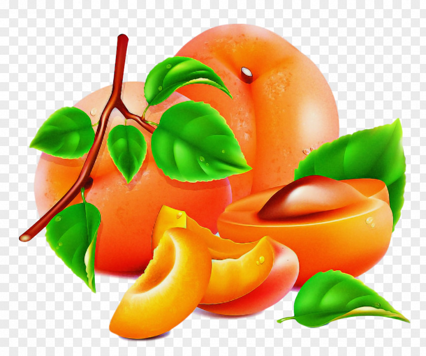 Orange PNG