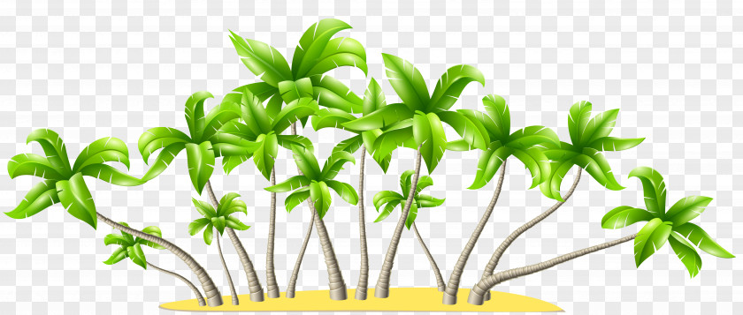 Palm Trees Clipart Leaf Flower Plant Stem Pant-hoot Tree PNG