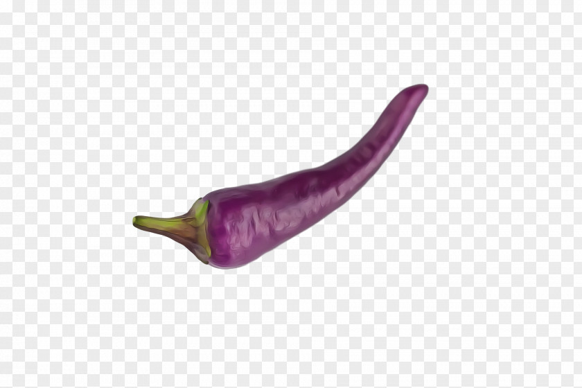 Pasilla Peppers Purple PNG