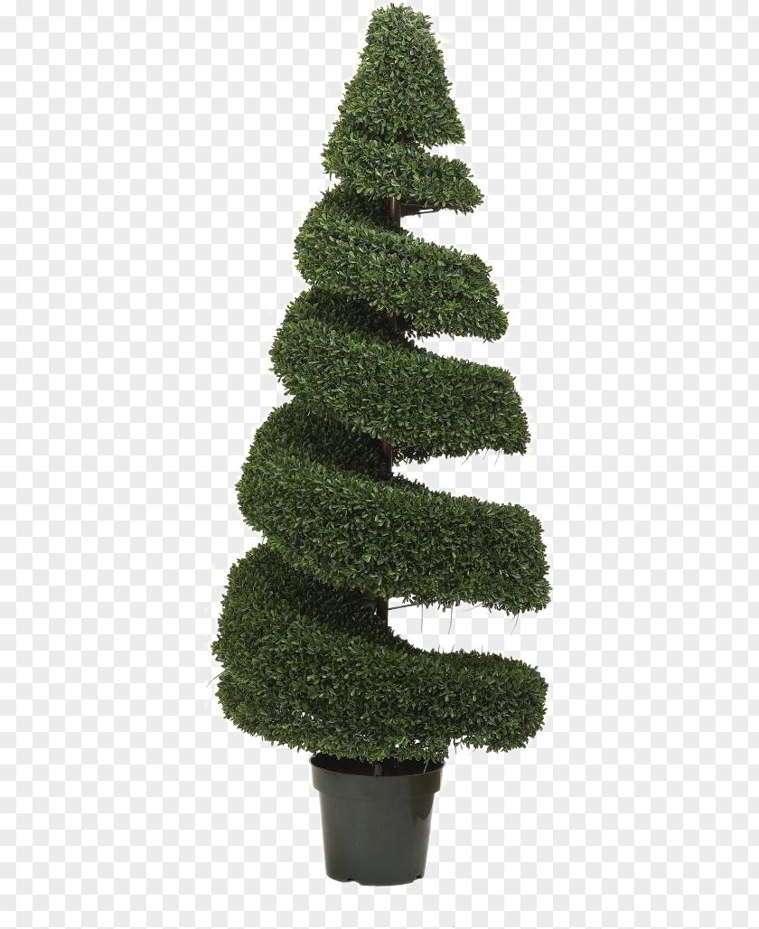 Green Decorative Christmas Tree Spruce Box Fir PNG