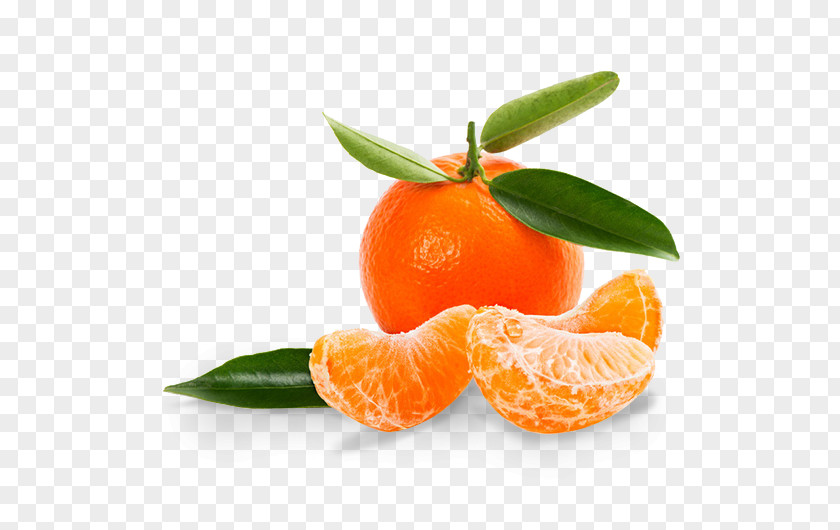 Jar Mandarin Orange Tangerine Clementine Satsuma Grapefruit PNG